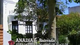 ANADIA   - BAIRRADA