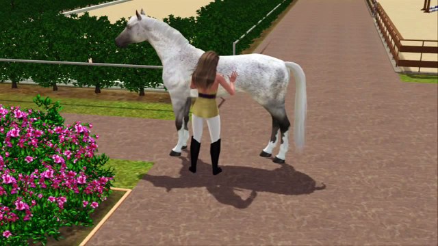 The Sims 3 Horses - Dressage and Jumping