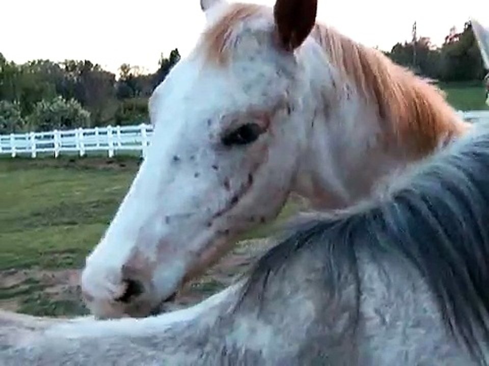 We LOVE each other - Today anyway.  Doodle and Honey