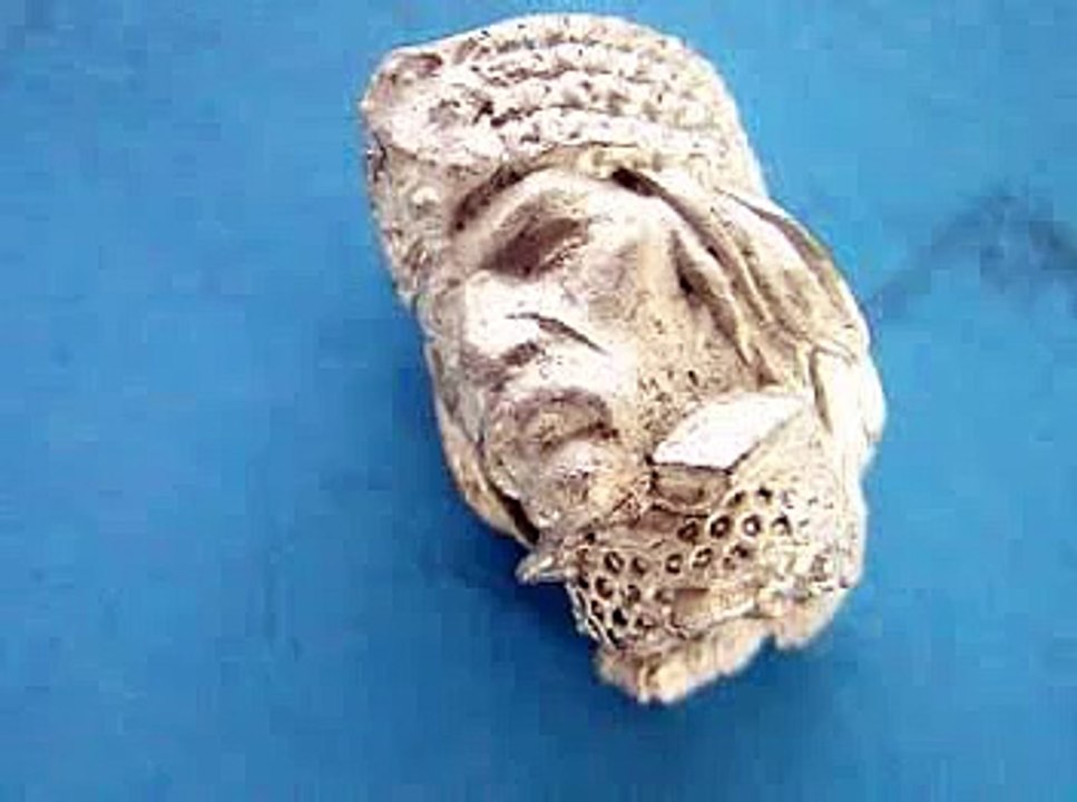 Neagu Djuvara - De la Vlad Tepes la Dracula Vampirul--partea 1/10