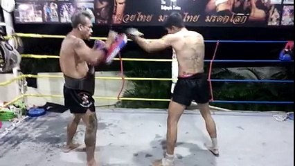 Sitjaopho MuayThai pads