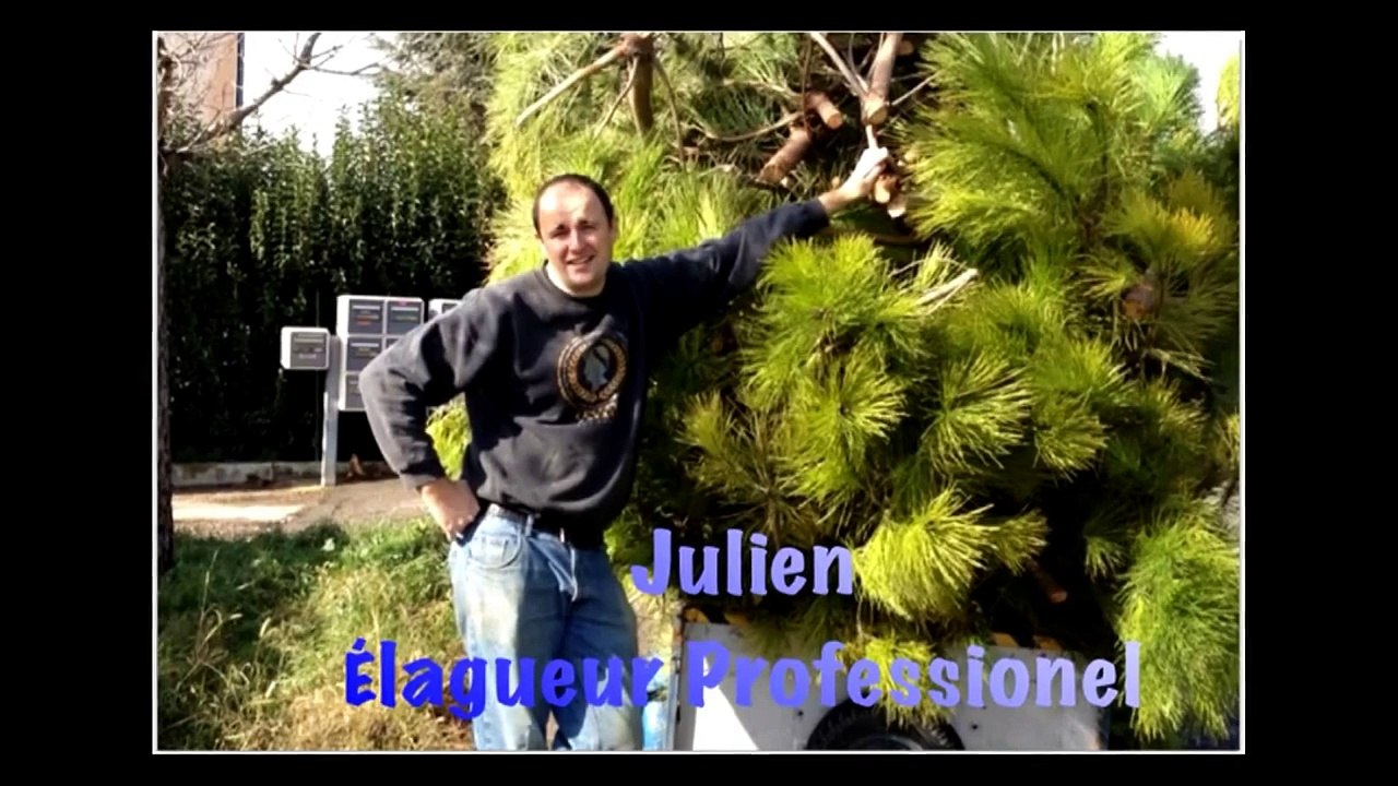 Julien le Guerrier Elagueur