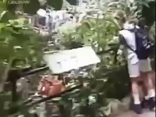 Горилла спас ребенка, упавшего в вольер к животным Невероятн