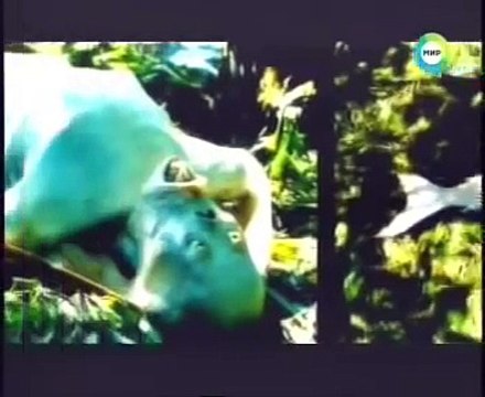 Моряки поймали морского дьявола.