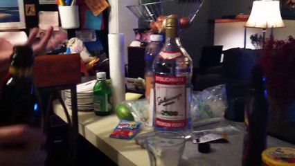 Venture Bros.- Red Mocho Cooler test run
