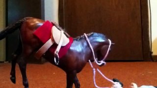 A bad day at Cimarron Stables breyer stop motion