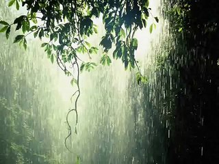 Platoon - Ave Maria ( Rebecca Luker )