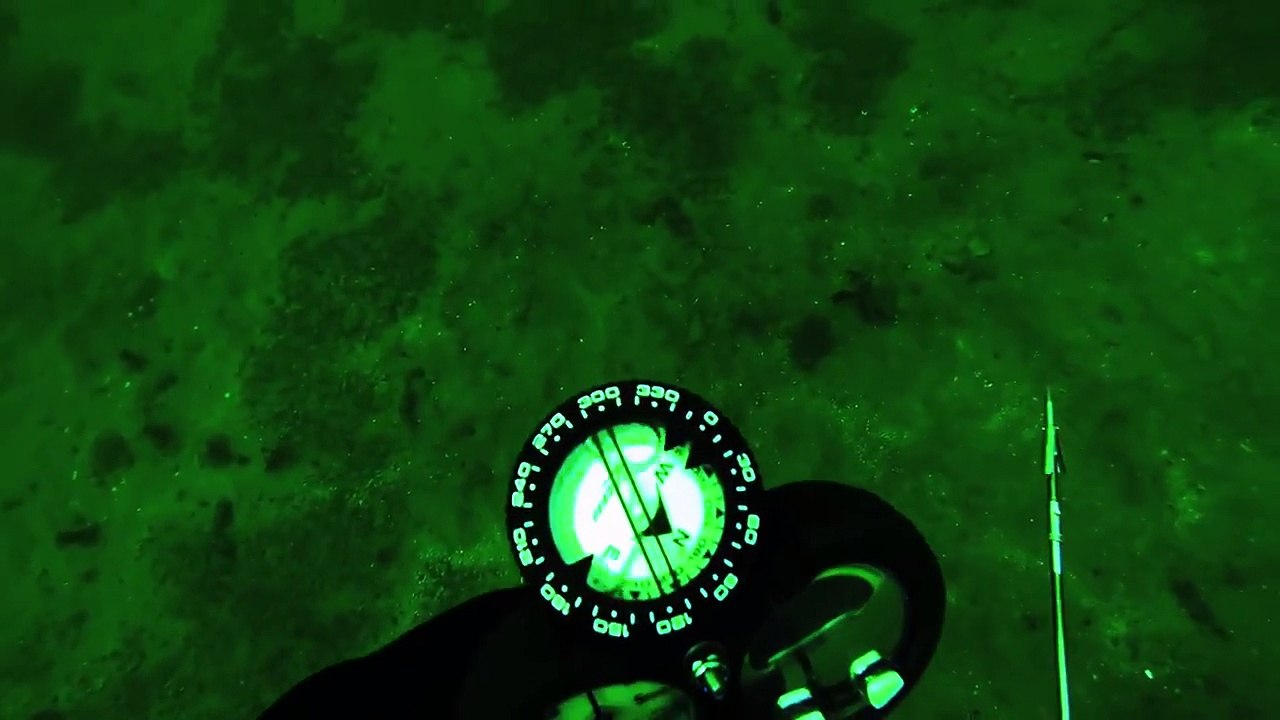 Dennis's first halibut