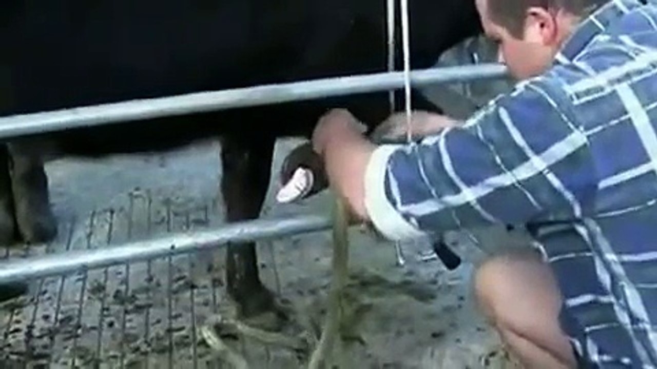 Walkease Demonstration