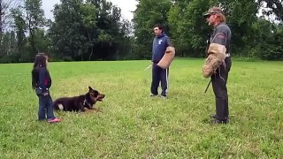 New Funny, Animal Videos 2014 A 5 Year Old Girl Getting Protected By Her German Shepherd Funny