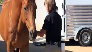 Teaching Your Horse to Stretch