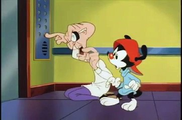 Animaniacs Knock Knock