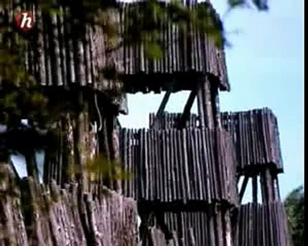 Les Barbares - Les Celtes primitifs