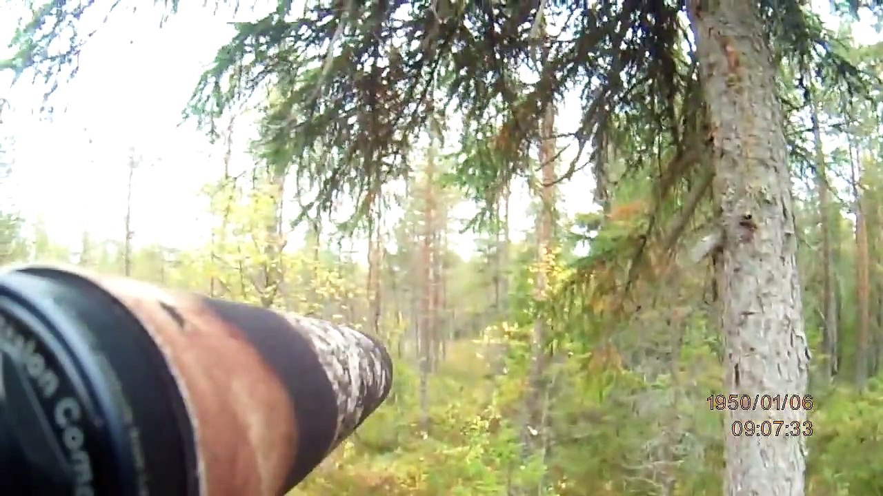 Älgjakt 2013!! skjuter oxe för jo på svartmyrtornet