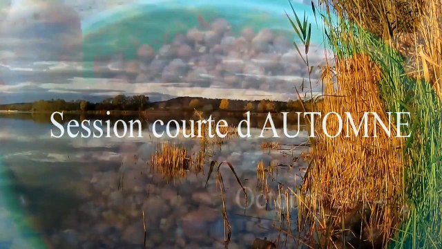 En Session Courte D AUTOMNE avec CHRIS LANIMAL.... peche de la carpe