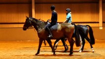 Pony Ball At Warwickshire College