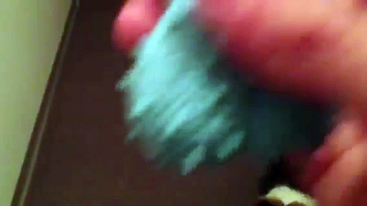 Desi the Sheltie Playing Ball