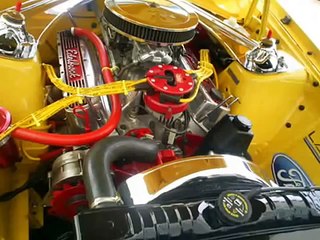 CAMPEONATO DE SOM EM MONTE ALTO - brutos.