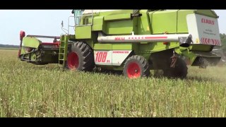 Żniwa 2014 - Walka o czarne złoto| x2 Claas , John Deere , Ursus||