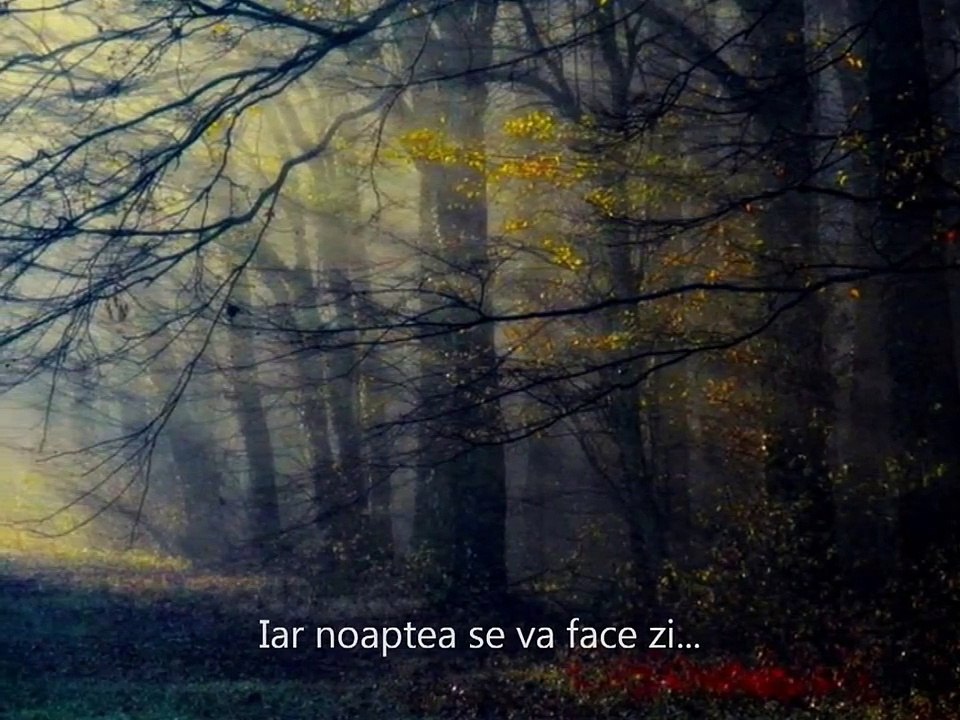 VISUL  ( THE DREAM )  - Un clip realizat dupa o poezie scrisa de Cristian Gabriel Groman