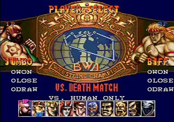 Saturday Night Slam Masters (Genesis)