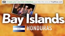 Bay Islands, Honduras and surroundings traveler photos - TripAdvisor TripWow
