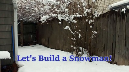 Let's Build a Snowman! (Real Olaf!)