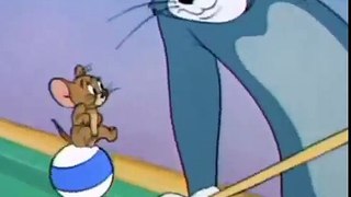 Tom and Jerry 054 Cue Ball Cat 1950