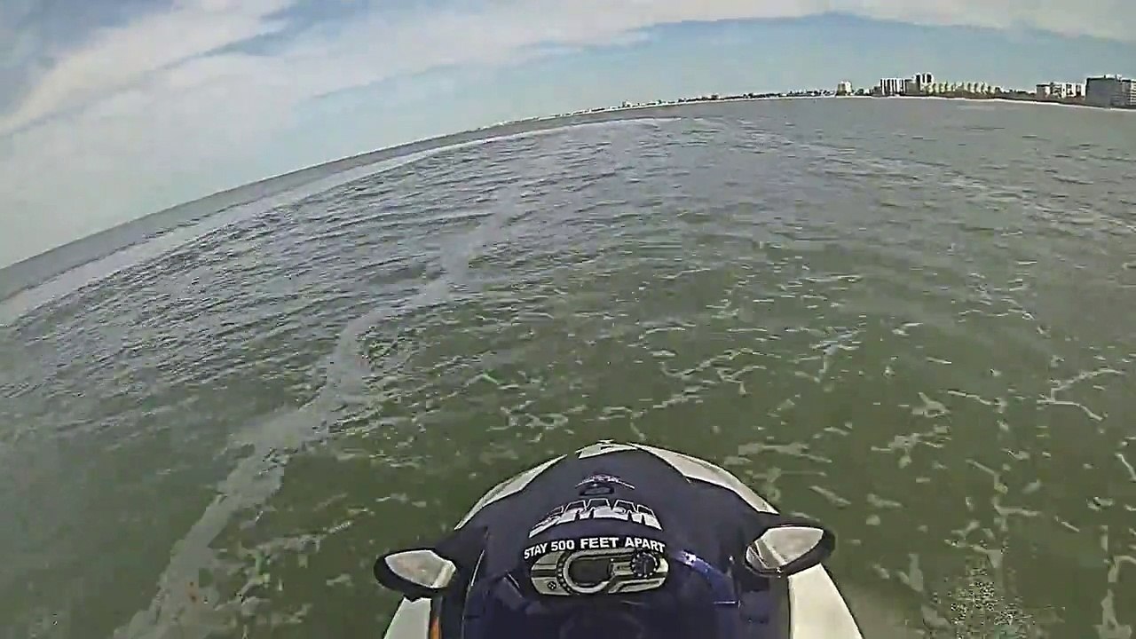 dolphin tour at wind and water sports fort myers beach