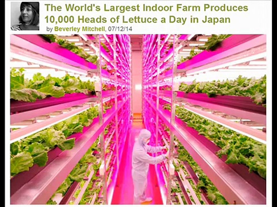 The World's Largest Indoor Farm Produces 10,000 Heads of Lettuce a Day in Japan