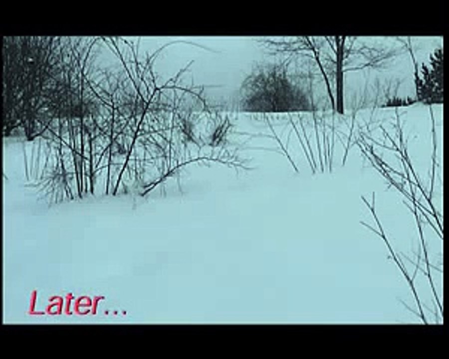 (Akira Kurosawa v. Quentin Tarantino - Part 2) The End