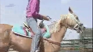 Cowboy up - W.Va. High School Rodeo, part 1 of 2