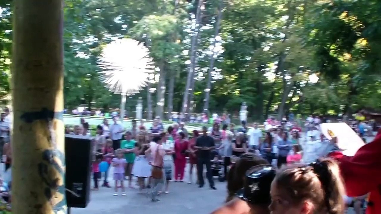 Publicul serii