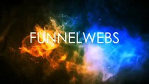 Funnelwebs.com - Web Design Helsinki promotional video