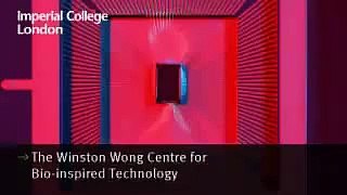 Global Impact of Winston Wong Centre for Bio-Inspired Technology