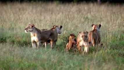 ATB- Future Memories