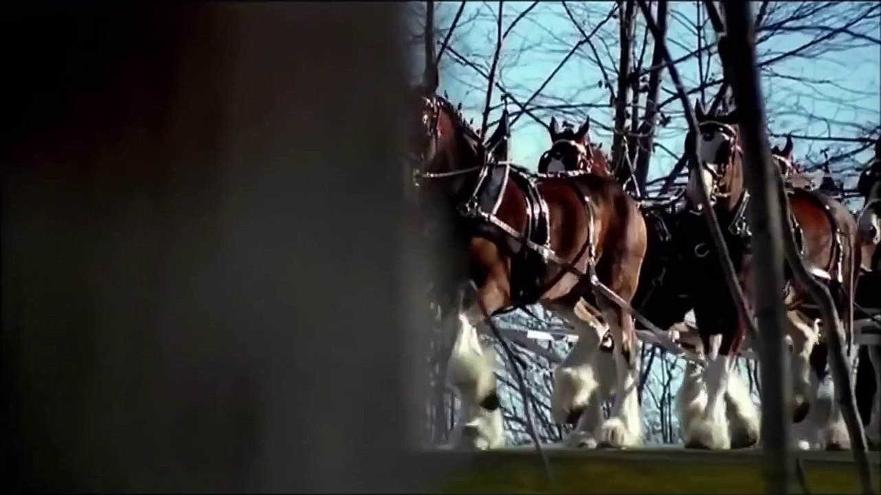 Budweiser Super Bowl Commercial  Clydesdales 9/11 Tribute 2011