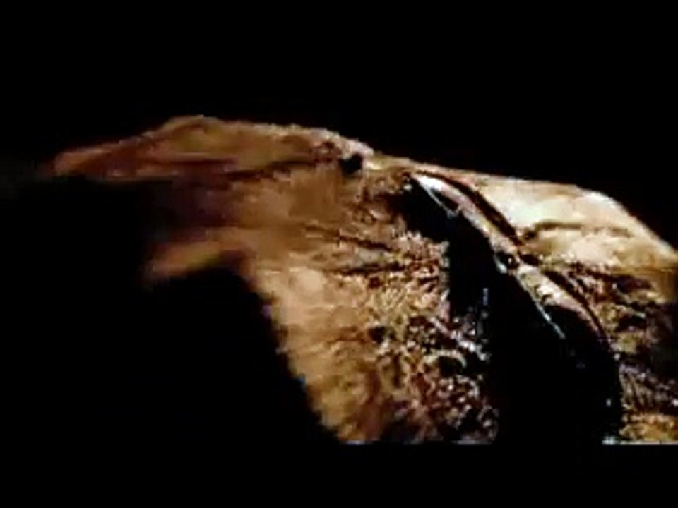 Ginger Snaps II Trailer Werwlfe