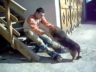 Basescu [numele cainelui] part 1