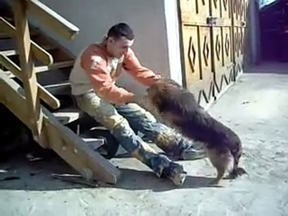 Basescu [numele cainelui] part 1