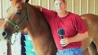 Randy Lindsey using EquiPride Horse Supplement