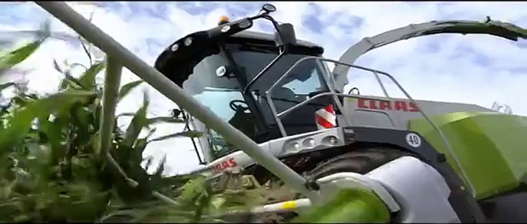 CLAAS JAGUAR 980 / 2008