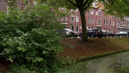 Nieuwe Westen: Cultuur en Creativiteit in Rotterdam