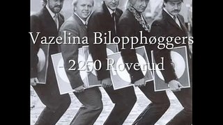 Vazelina Bilopphøggers - 2250 Roverud