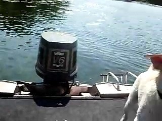 Swimming Puppy Dog Fetches A Bottle