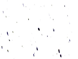 A Gooby Story - "Beware the Ancient Ones"