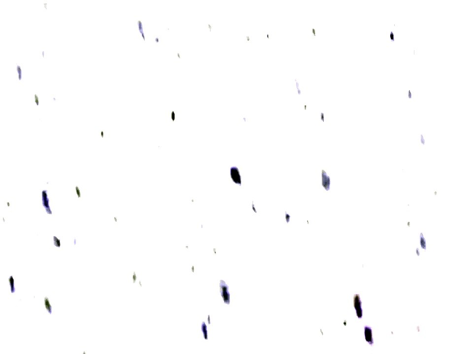 A Gooby Story - "Beware the Ancient Ones"