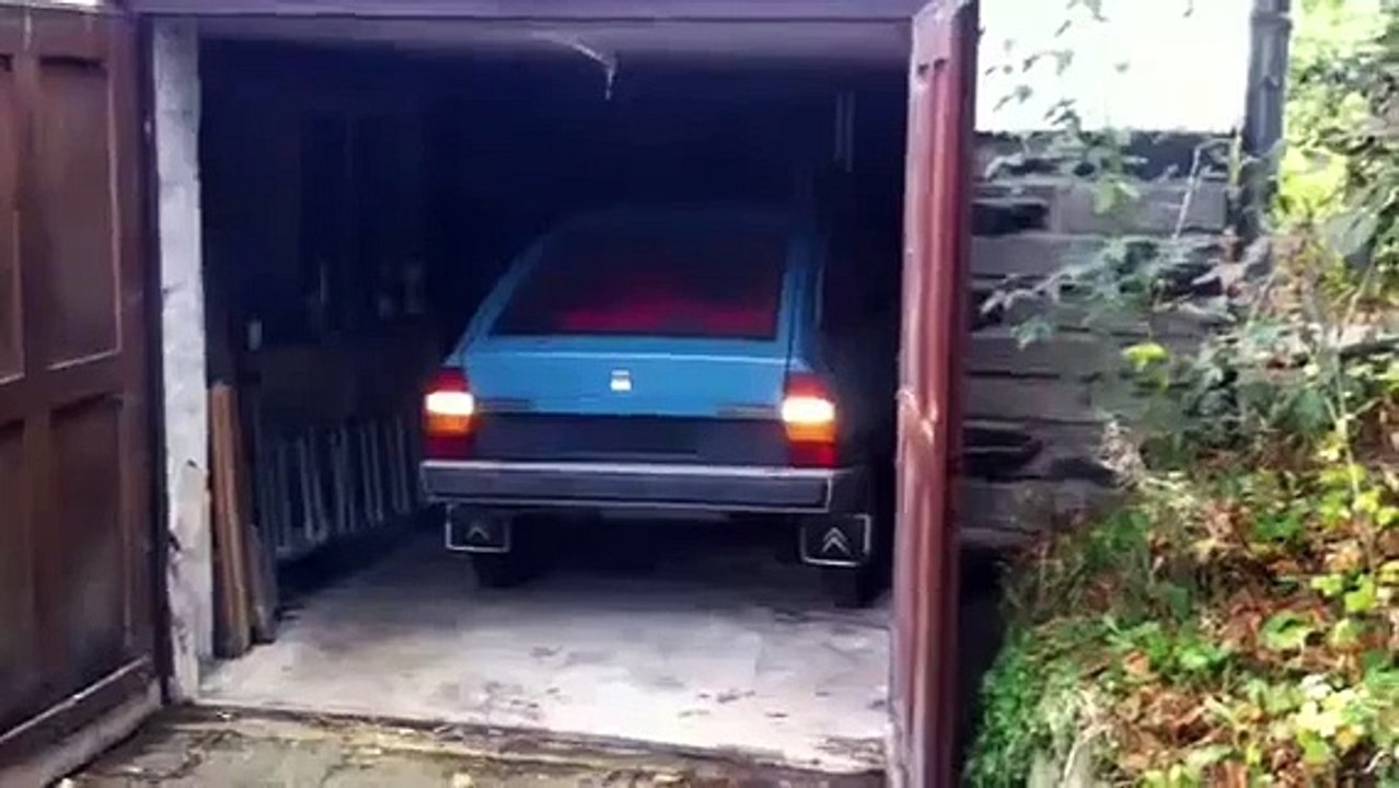 Citroen GSA Pallas DDR Import