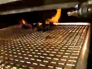 Tarantulas being grilled alive