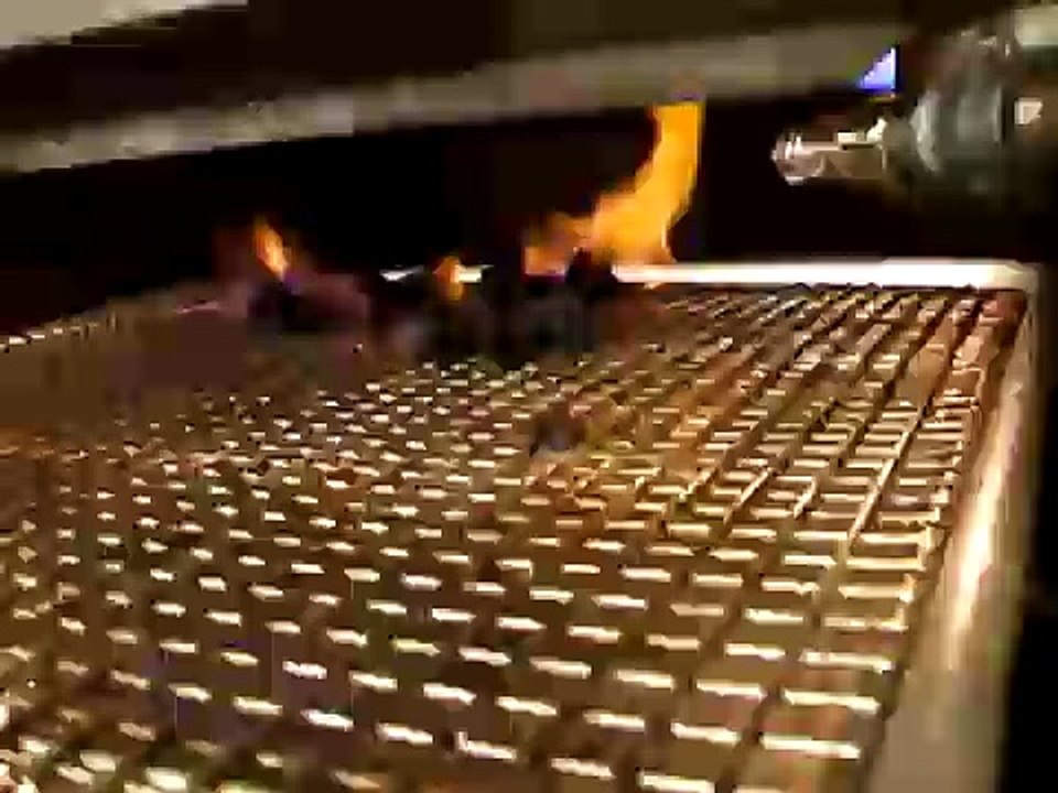 Tarantulas being grilled alive
